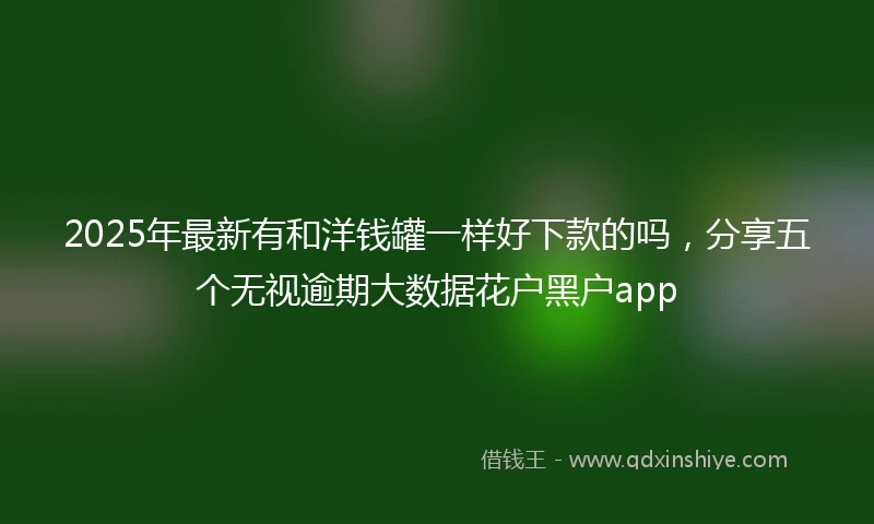 2025年最新有和洋钱罐一样好下款的吗，分享五个无视逾期大数据花户黑户app