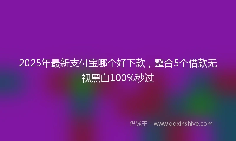 2025年最新支付宝哪个好下款，整合5个借款无视黑白100%秒过