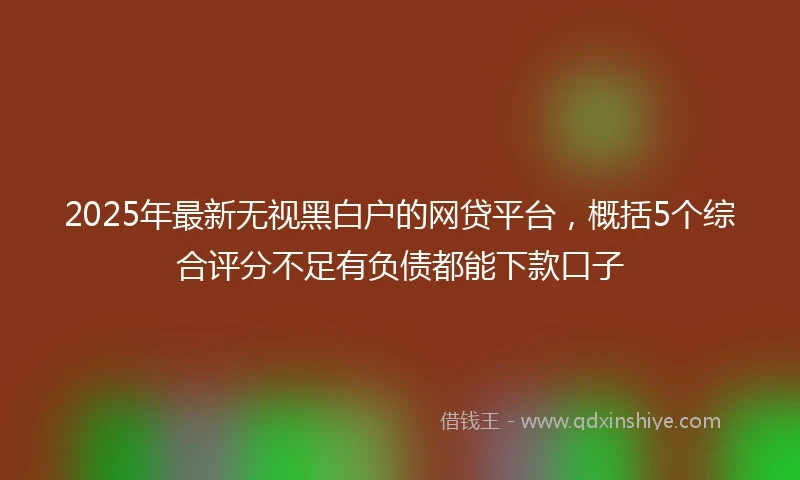 2025年最新无视黑白户的网贷平台，概括5个综合评分不足有负债都能下款口子