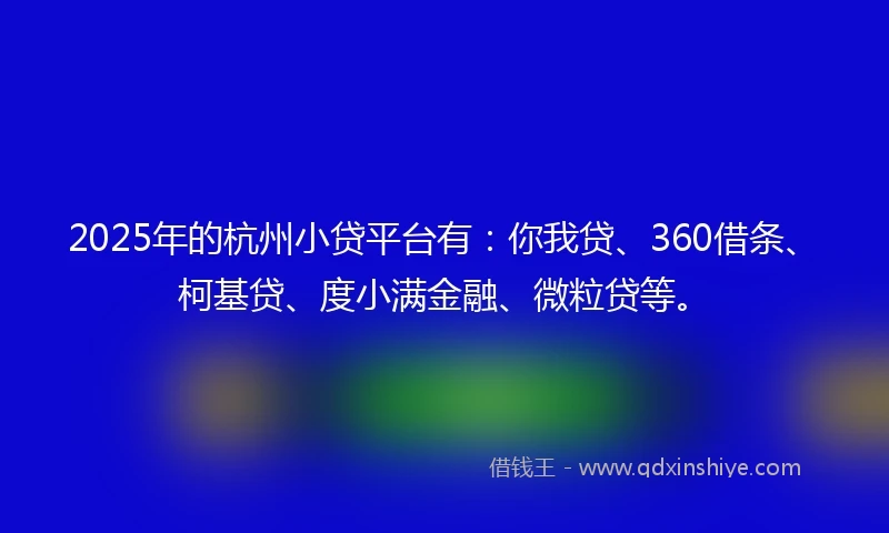 2025年的杭州小贷平台有：你我贷、360借条、柯基贷、度小满金融、微粒贷等。