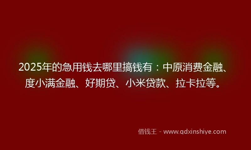 2025年的急用钱去哪里搞钱有：中原消费金融、度小满金融、好期贷、小米贷款、拉卡拉等。