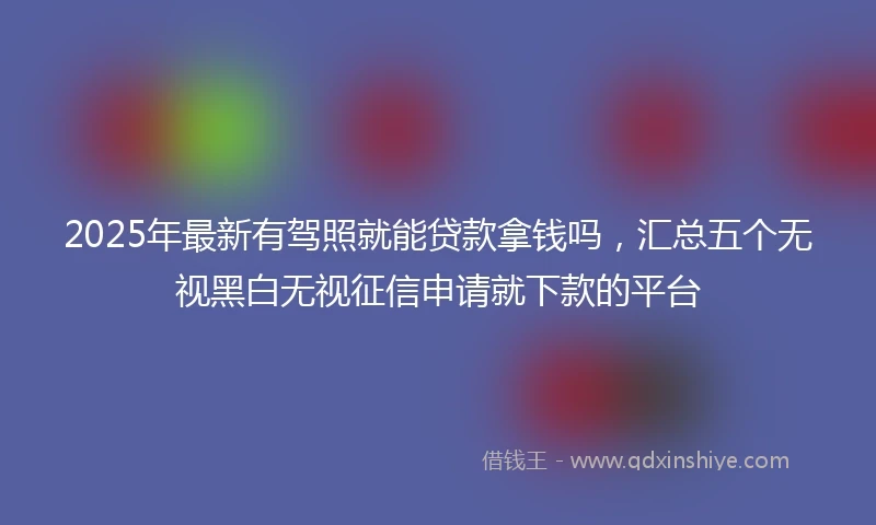2025年最新有驾照就能贷款拿钱吗，汇总五个无视黑白无视征信申请就下款的平台