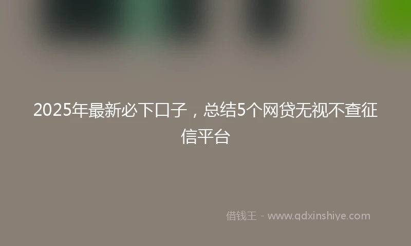 2025年最新必下口子，总结5个网贷无视不查征信平台