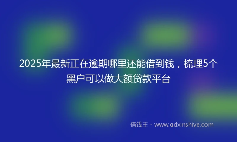 2025年最新正在逾期哪里还能借到钱，梳理5个黑户可以做大额贷款平台