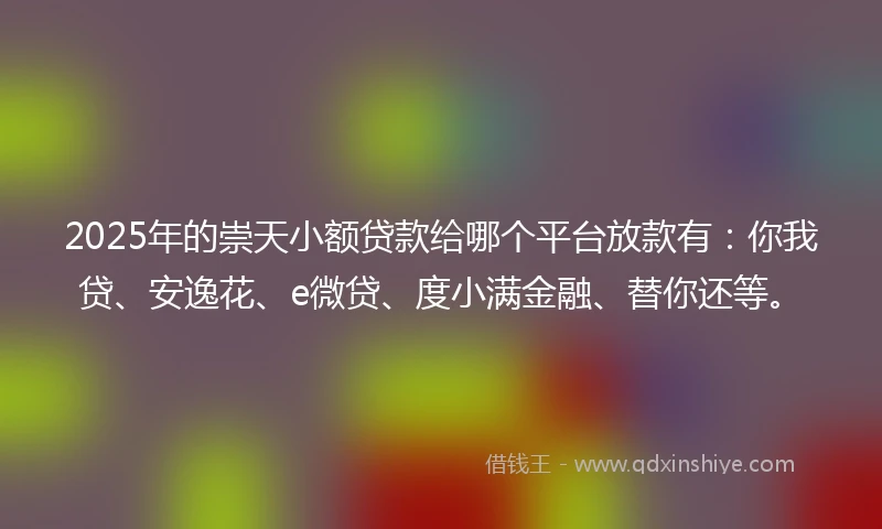 2025年的崇天小额贷款给哪个平台放款有：你我贷、安逸花、e微贷、度小满金融、替你还等。