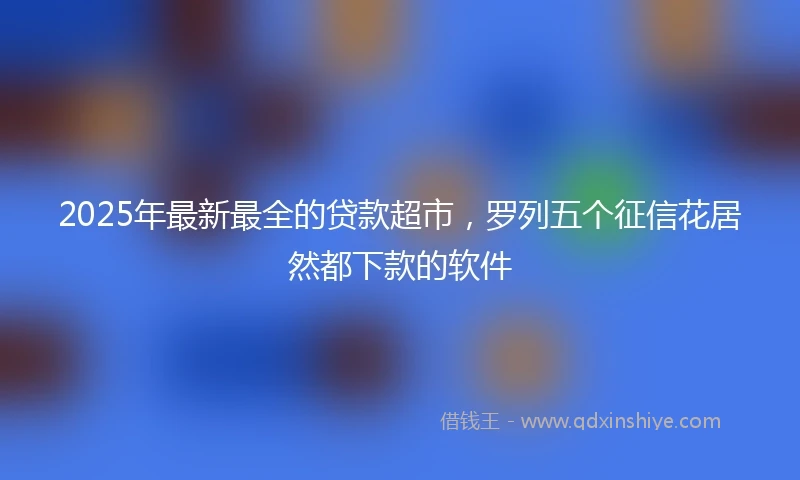2025年最新最全的贷款超市，罗列五个征信花居然都下款的软件