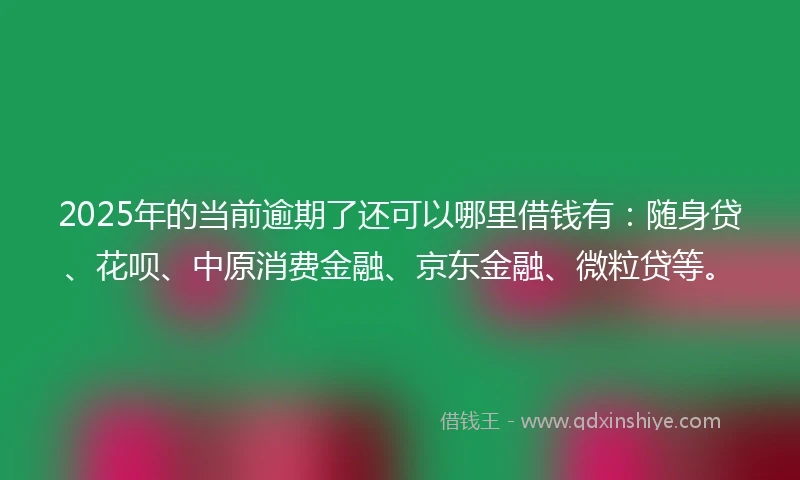 2025年的当前逾期了还可以哪里借钱有：随身贷、花呗、中原消费金融、京东金融、微粒贷等。