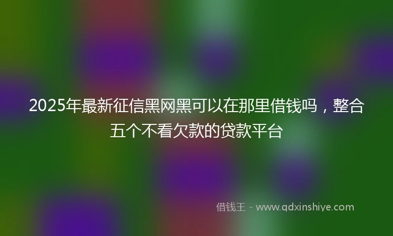 2025年最新征信黑网黑可以在那里借钱吗，整合五个不看欠款的贷款平台