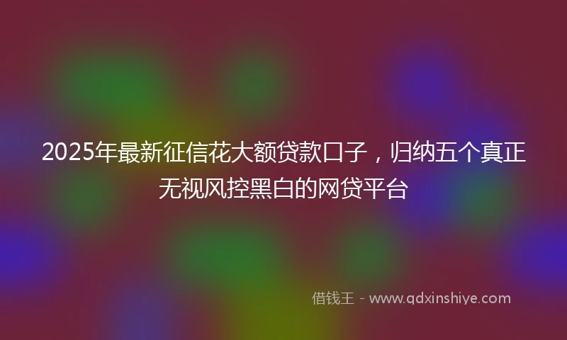 2025年最新征信花大额贷款口子，归纳五个真正无视风控黑白的网贷平台