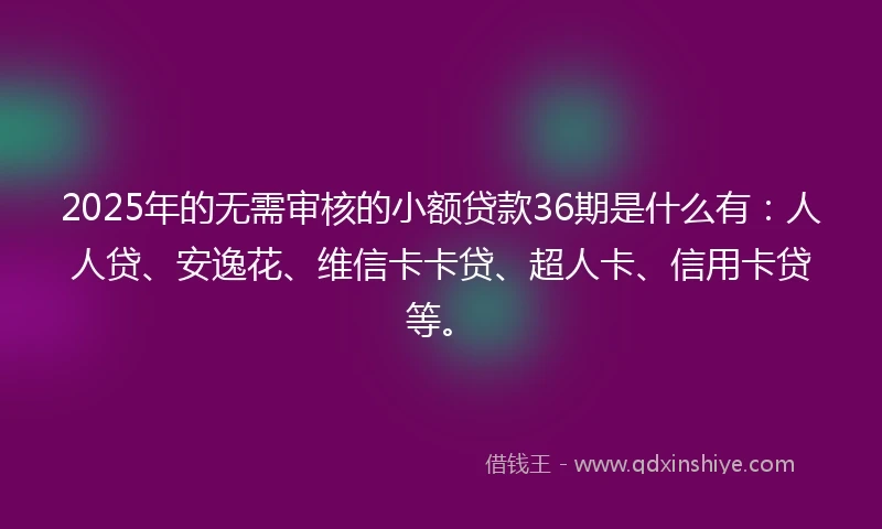 2025年的无需审核的小额贷款36期是什么有：人人贷、安逸花、维信卡卡贷、超人卡、信用卡贷等。