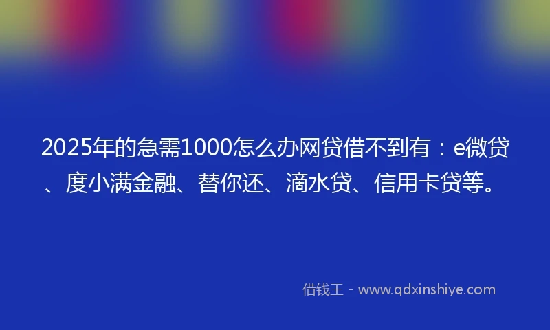 2025年的急需1000怎么办网贷借不到有：e微贷、度小满金融、替你还、滴水贷、信用卡贷等。