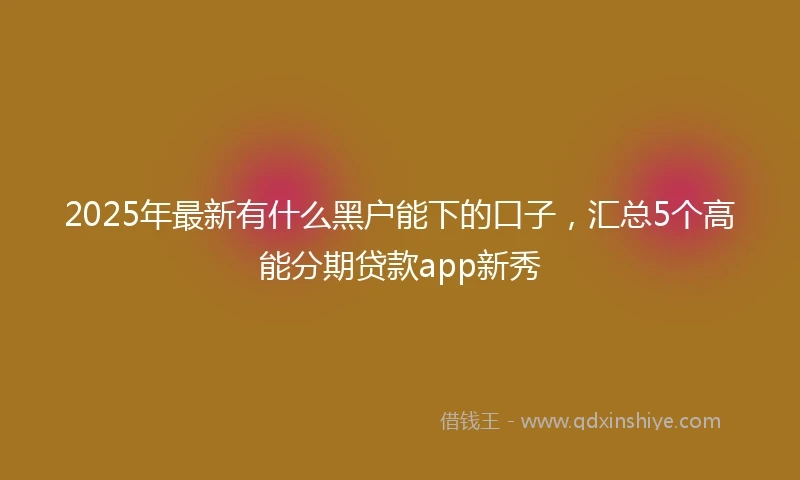 2025年最新有什么黑户能下的口子，汇总5个高能分期贷款app新秀