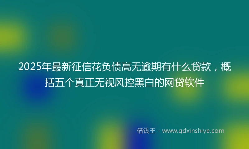 2025年最新征信花负债高无逾期有什么贷款，概括五个真正无视风控黑白的网贷软件
