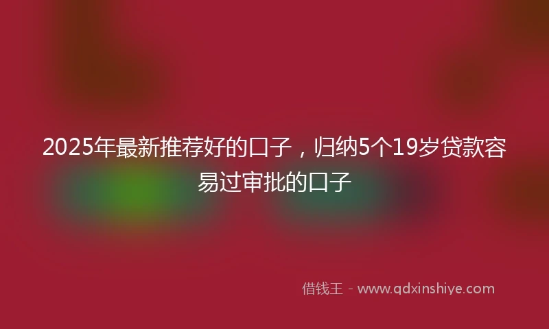 2025年最新推荐好的口子，归纳5个19岁贷款容易过审批的口子