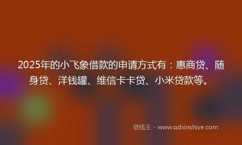 2025年的小飞象借款的申请方式有：惠商贷、随身贷、洋钱罐、维信卡卡贷、小米贷款等。