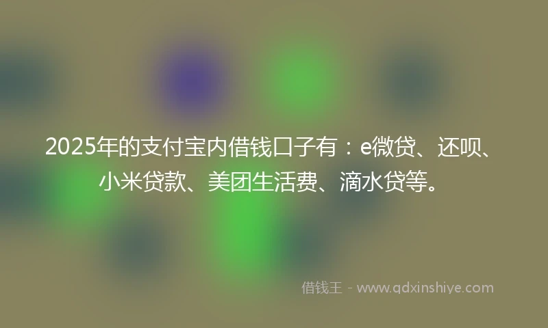 2025年的支付宝内借钱口子有：e微贷、还呗、小米贷款、美团生活费、滴水贷等。