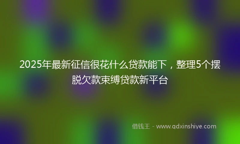 2025年最新征信很花什么贷款能下，整理5个摆脱欠款束缚贷款新平台