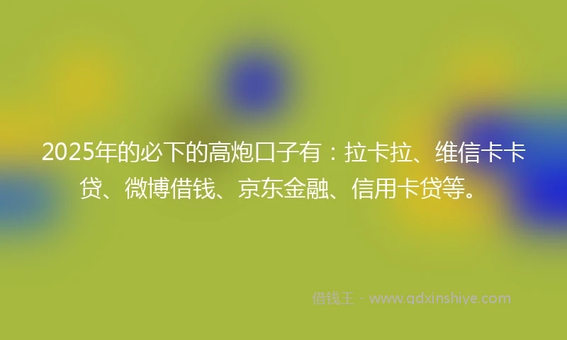 2025年的必下的高炮口子有：拉卡拉、维信卡卡贷、微博借钱、京东金融、信用卡贷等。