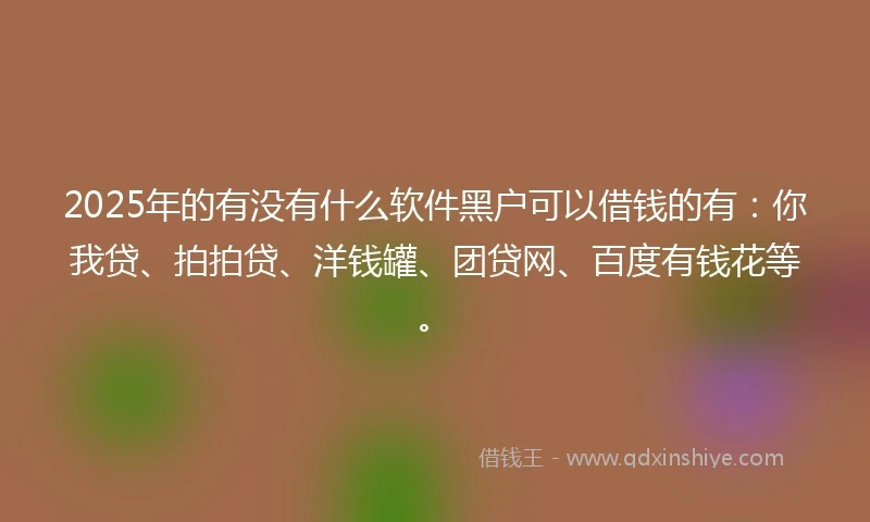 2025年的有没有什么软件黑户可以借钱的有：你我贷、拍拍贷、洋钱罐、团贷网、百度有钱花等。