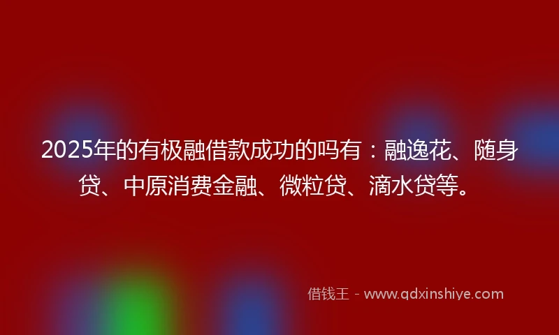 2025年的有极融借款成功的吗有：融逸花、随身贷、中原消费金融、微粒贷、滴水贷等。