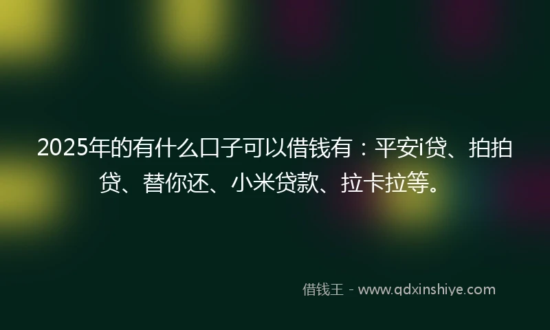 2025年的有什么口子可以借钱有：平安i贷、拍拍贷、替你还、小米贷款、拉卡拉等。