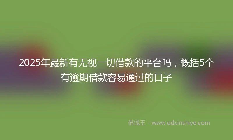 2025年最新有无视一切借款的平台吗，概括5个有逾期借款容易通过的口子