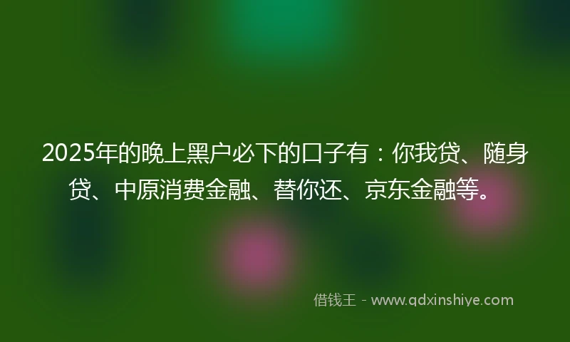 2025年的晚上黑户必下的口子有：你我贷、随身贷、中原消费金融、替你还、京东金融等。