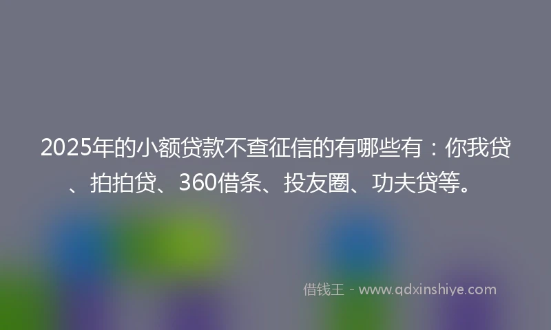 2025年的小额贷款不查征信的有哪些有：你我贷、拍拍贷、360借条、投友圈、功夫贷等。