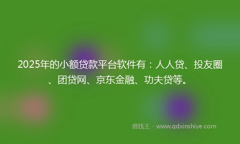 2025年的小额贷款平台软件有：人人贷、投友圈、团贷网、京东金融、功夫贷等。