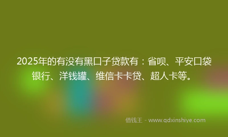2025年的有没有黑口子贷款有：省呗、平安口袋银行、洋钱罐、维信卡卡贷、超人卡等。