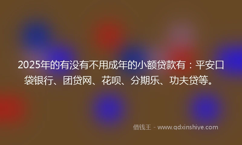 2025年的有没有不用成年的小额贷款有：平安口袋银行、团贷网、花呗、分期乐、功夫贷等。
