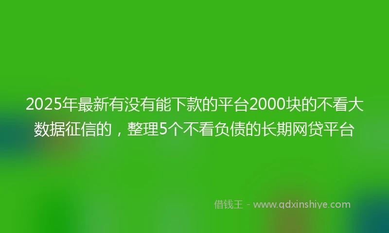 2025年最新有没有能下款的平台2000块的不看大数据征信的，整理5个不看负债的长期网贷平台