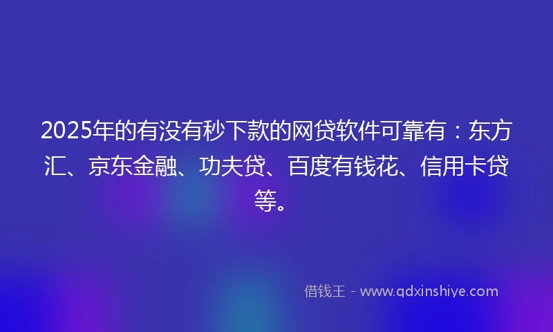 2025年的有没有秒下款的网贷软件可靠有：东方汇、京东金融、功夫贷、百度有钱花、信用卡贷等。