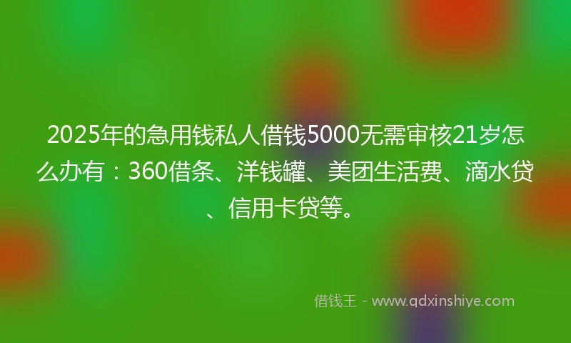 2025年的急用钱私人借钱5000无需审核21岁怎么办有：360借条、洋钱罐、美团生活费、滴水贷、信用卡贷等。