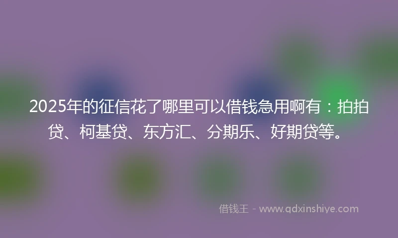 2025年的征信花了哪里可以借钱急用啊有：拍拍贷、柯基贷、东方汇、分期乐、好期贷等。