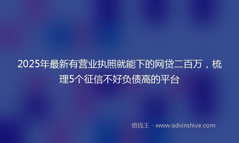2025年最新有营业执照就能下的网贷二百万，梳理5个征信不好负债高的平台
