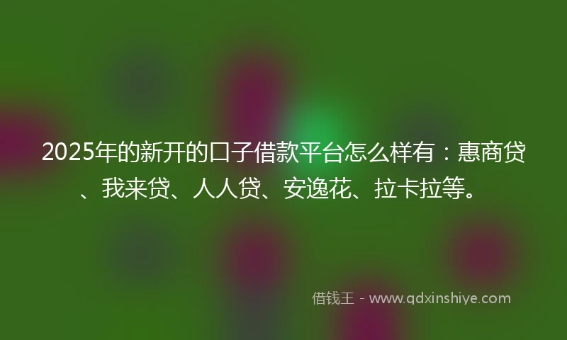 2025年的新开的口子借款平台怎么样有：惠商贷、我来贷、人人贷、安逸花、拉卡拉等。