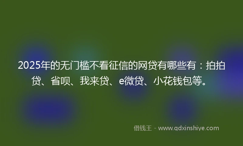 2025年的无门槛不看征信的网贷有哪些有：拍拍贷、省呗、我来贷、e微贷、小花钱包等。