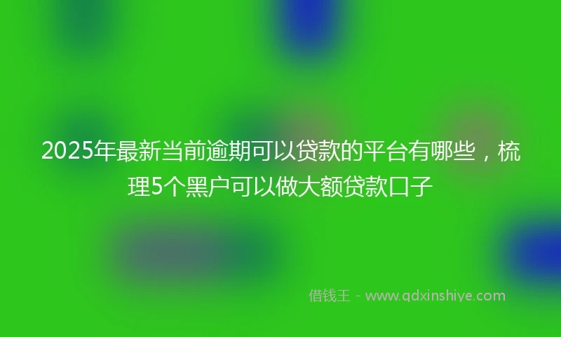 2025年最新当前逾期可以贷款的平台有哪些，梳理5个黑户可以做大额贷款口子
