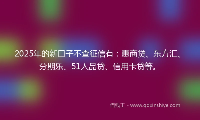 2025年的新口子不查征信有：惠商贷、东方汇、分期乐、51人品贷、信用卡贷等。