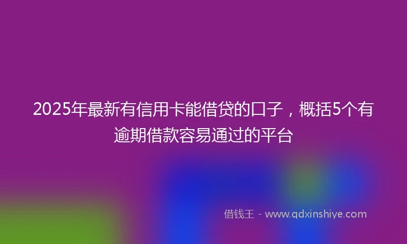 2025年最新有信用卡能借贷的口子，概括5个有逾期借款容易通过的平台