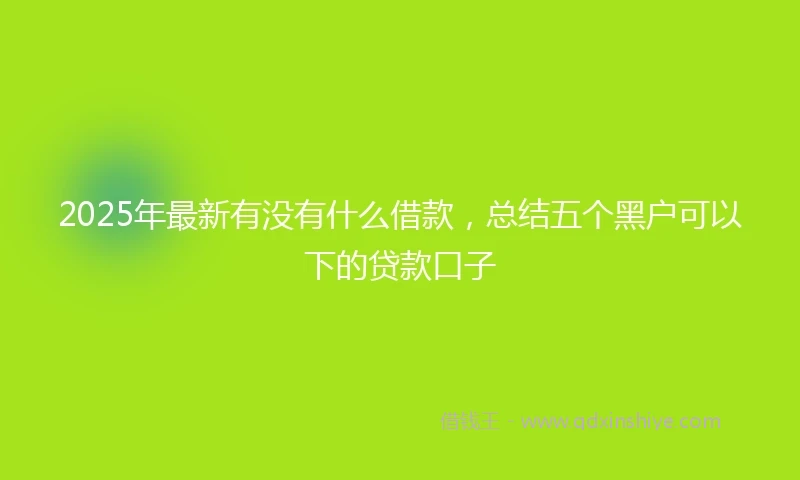 2025年最新有没有什么借款，总结五个黑户可以下的贷款口子