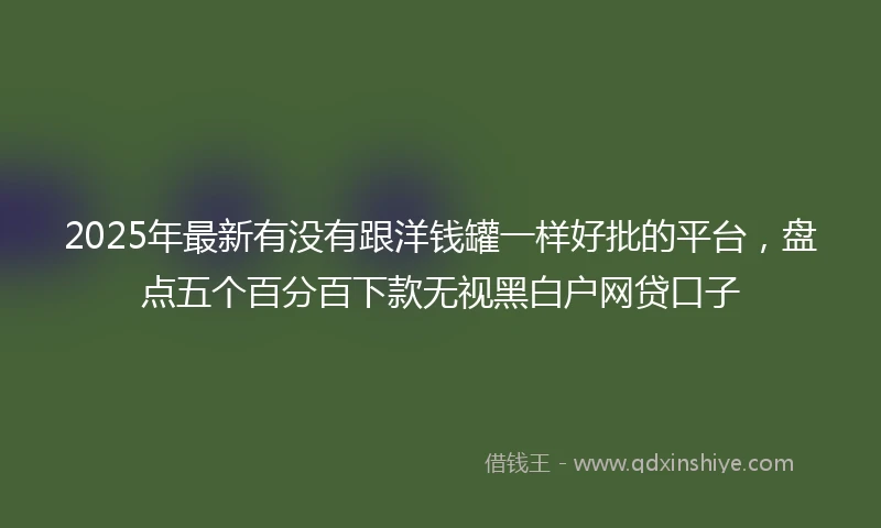 2025年最新有没有跟洋钱罐一样好批的平台，盘点五个百分百下款无视黑白户网贷口子