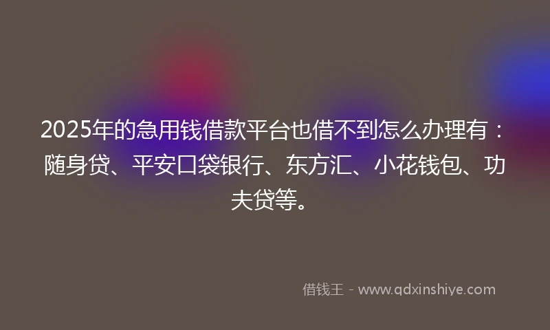 2025年的急用钱借款平台也借不到怎么办理有：随身贷、平安口袋银行、东方汇、小花钱包、功夫贷等。