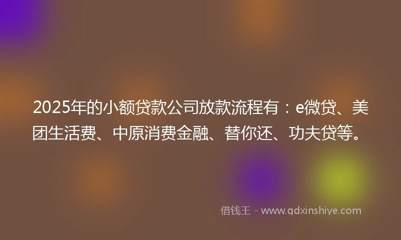 2025年的小额贷款公司放款流程有：e微贷、美团生活费、中原消费金融、替你还、功夫贷等。
