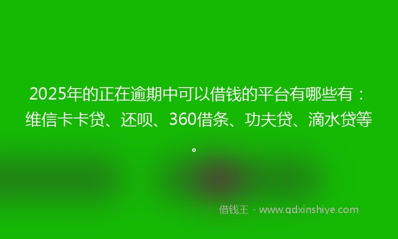 2025年的正在逾期中可以借钱的平台有哪些有：维信卡卡贷、还呗、360借条、功夫贷、滴水贷等。