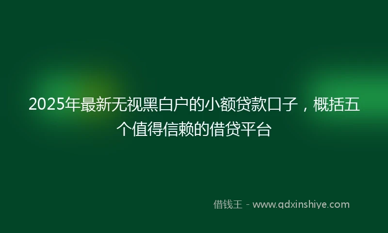 2025年最新无视黑白户的小额贷款口子，概括五个值得信赖的借贷平台