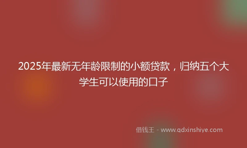 2025年最新无年龄限制的小额贷款，归纳五个大学生可以使用的口子