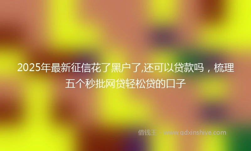 2025年最新征信花了黑户了,还可以贷款吗，梳理五个秒批网贷轻松贷的口子