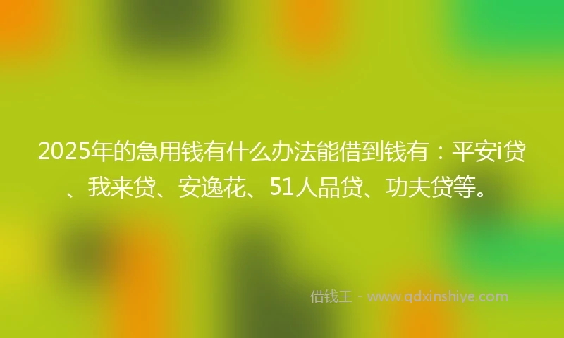 2025年的急用钱有什么办法能借到钱有：平安i贷、我来贷、安逸花、51人品贷、功夫贷等。